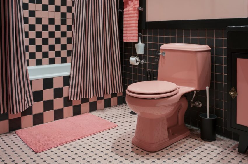 Pink and Black Bathroom Decor