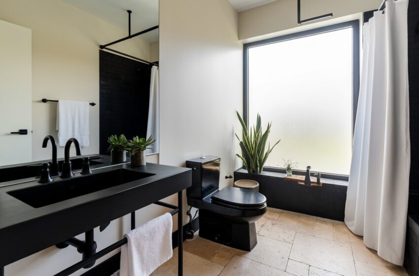 black bathroom fixtures