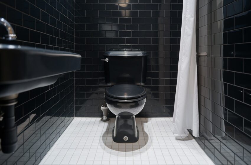  10 Stunning Black Toilet Bathroom Ideas for a Modern Space